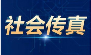 紫牛热点∣积分、电卡等权益全部消失！接连发生两起，理想汽车主控账号遭陌生人恶意绑定？