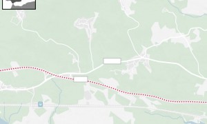 触目惊心！英媒报道若塔车祸现场：跑车几乎完全被烧毁