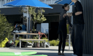 何超莲窦骁婚变风波后首同框 两人笑容满面心情超好