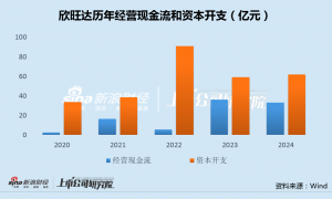 欣旺达赴港IPO：动储电池售价半年大跌30%、大客户理想销量骤降 拆分上市、定增融资先后搁浅