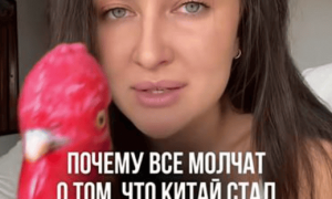 4000点到顶了吗？这波牛市到底能涨多久？